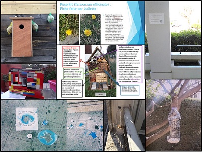 Notre planète, sa biodiversité, notre futur.