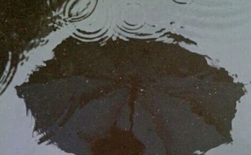 Nothing, but rain