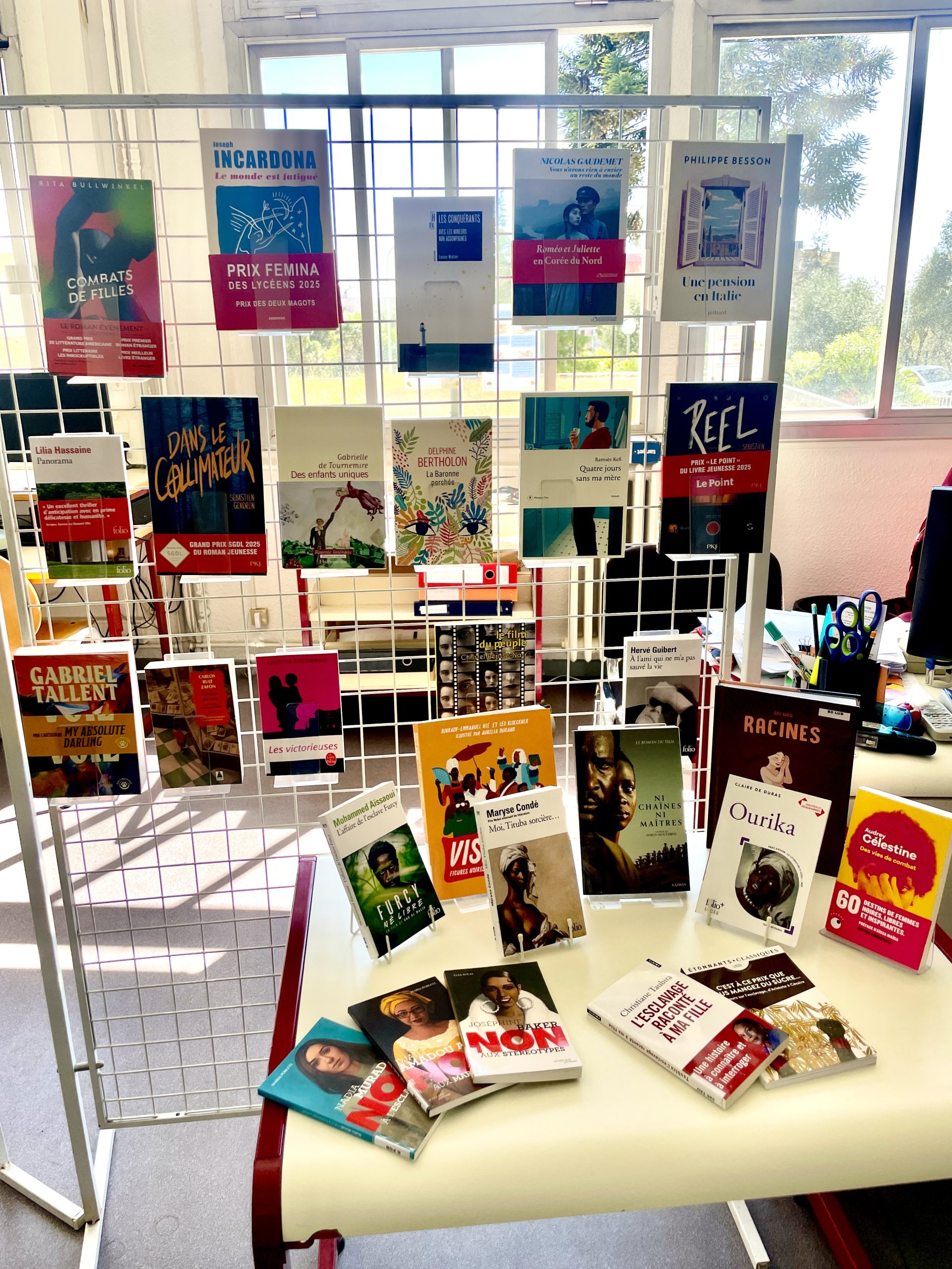 Nouveautés CDI – Mars 2026