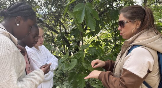 Des élèves attentives auprès de Mouna, grande connaisseuse des plantes comestibles méditerranéennes et de leurs vertus . Ici elle explique que la sève de figuier permet de soigner les verrues .