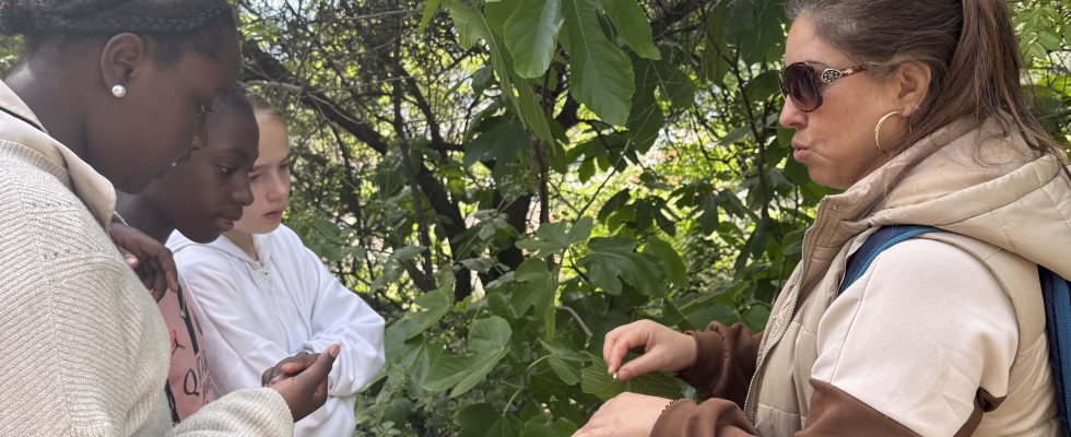 Des élèves attentives auprès de Mouna, grande connaisseuse des plantes comestibles méditerranéennes et de leurs vertus . Ici elle explique que la sève de figuier permet de soigner les verrues .