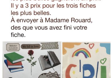 Concours CDI : Affiches et Poésie